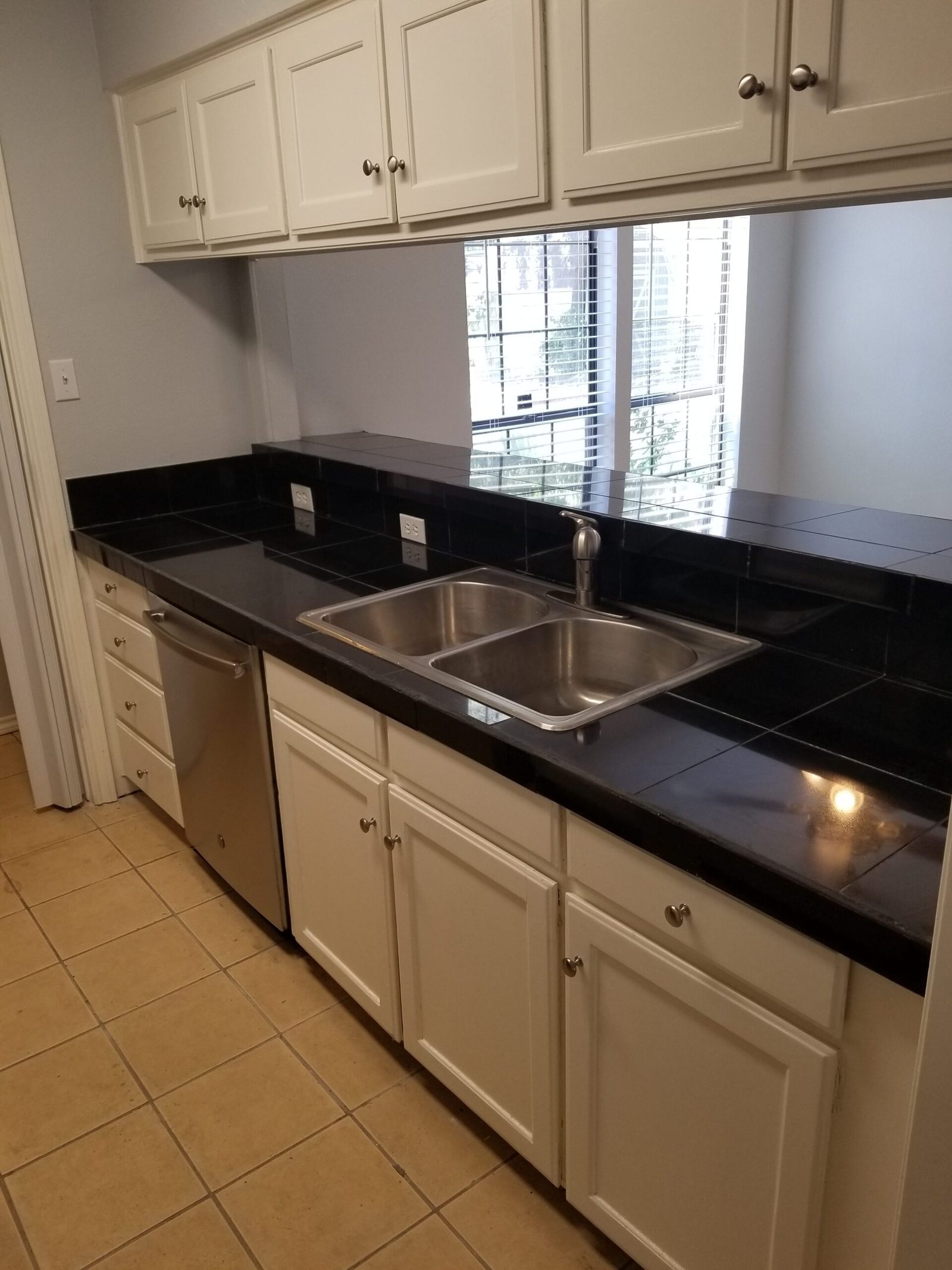 Kitchen counter with double stainless sink, dishwasher and window above